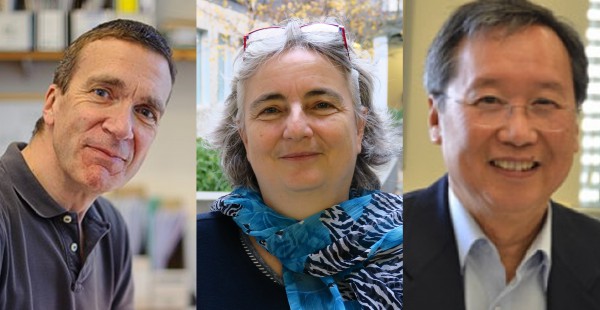 Ab initio studies of electronic excitations using many-body perturbation theory